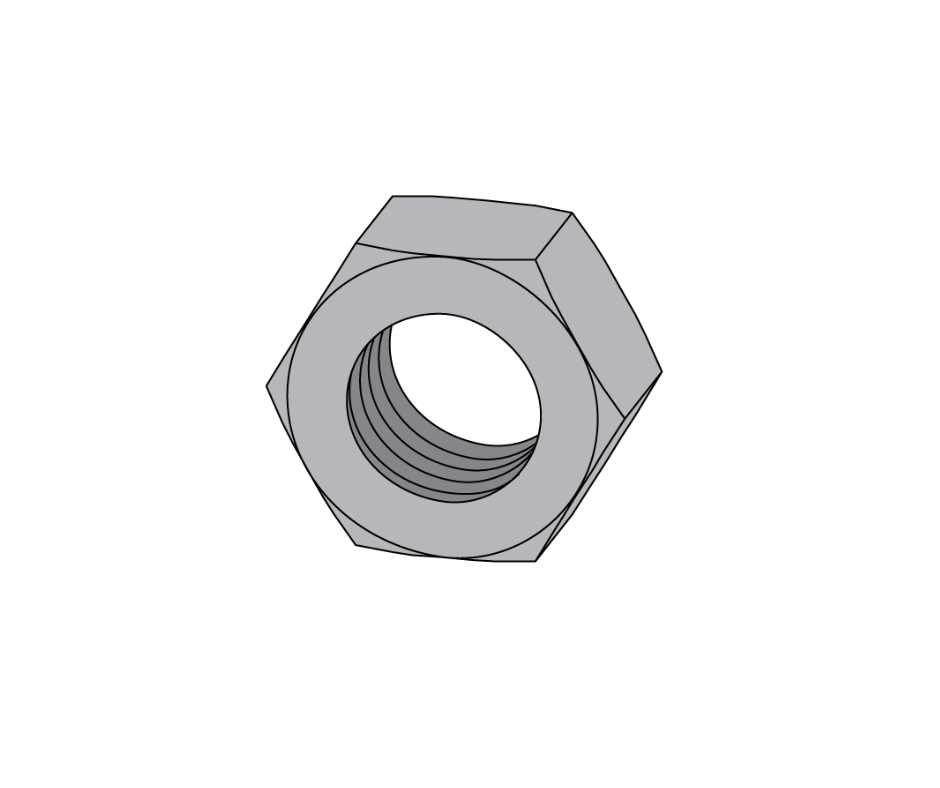 Hex Nut